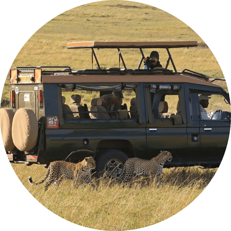 Masai Mara - Soroi Collection