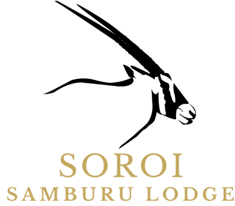 Explore Samburu’s Unique Beauty with Soroi Collection - Soroi Collection