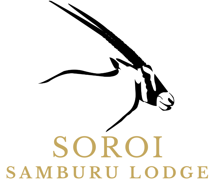 Soroi Samburu Lodge - Soroi Collection