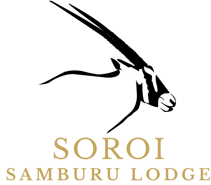 Soroi Samburu Lodge - Soroi Collection - Soroi Collection