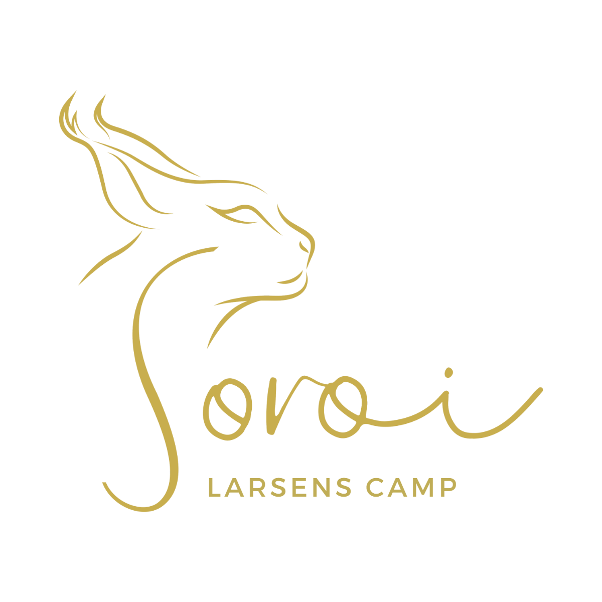Soroi Larsens Camp - Soroi Collection