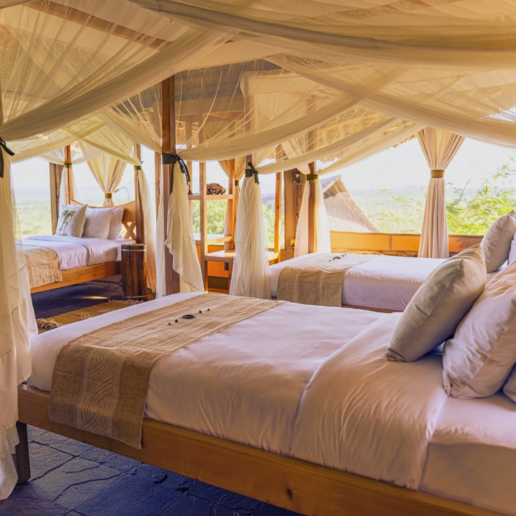 Soroi Cheetah Tented Camp Cover Image
