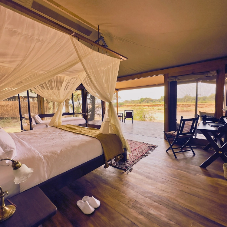 Soroi Larsens Camp Cover Image