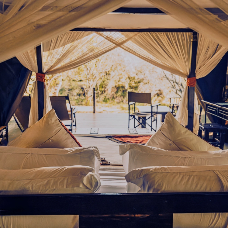 Soroi Mara Bush Camp Cover Image