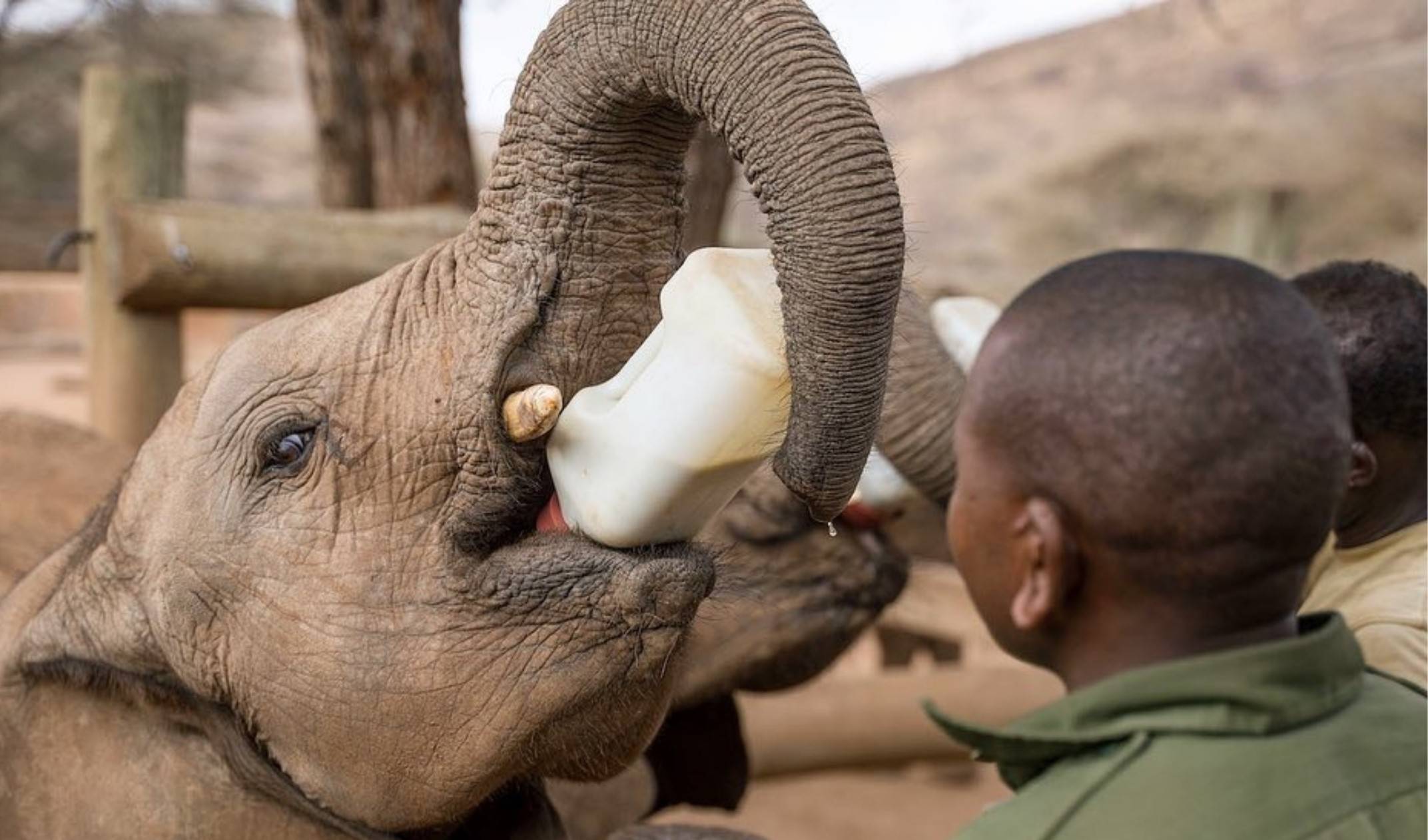A-Z GUEST INFORMATION SAMBURU LODGE - 1 - Soroi Collection - Soroi Collection
