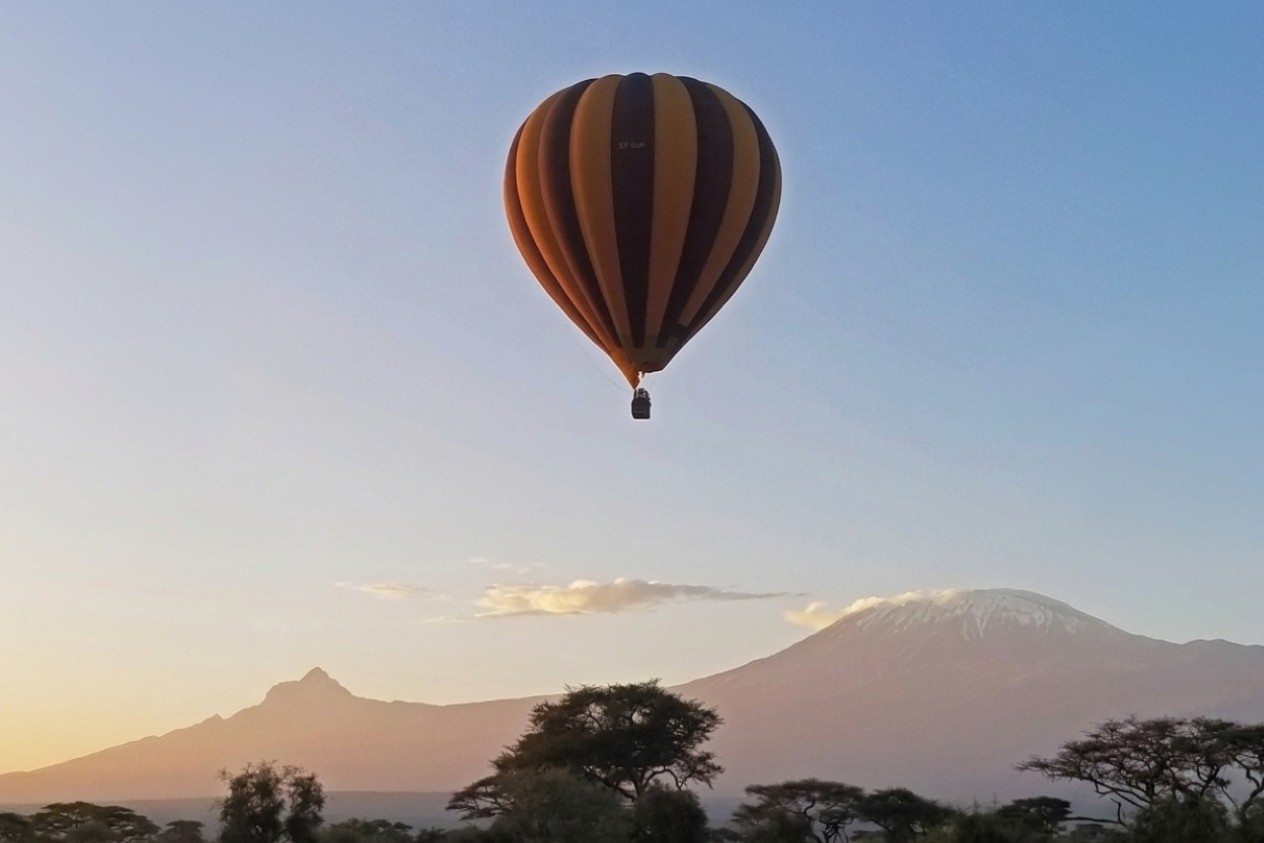 Balloon Safari cropped