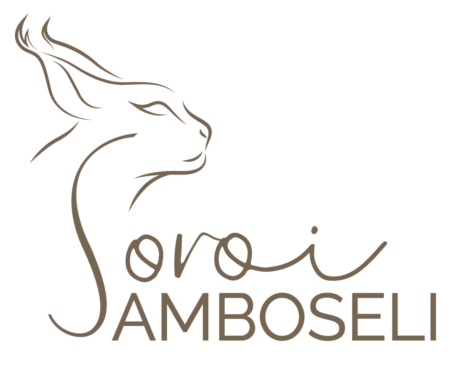 New-Soroi-Logos-4-e1777984624998-1536x1243 Caracal Coral