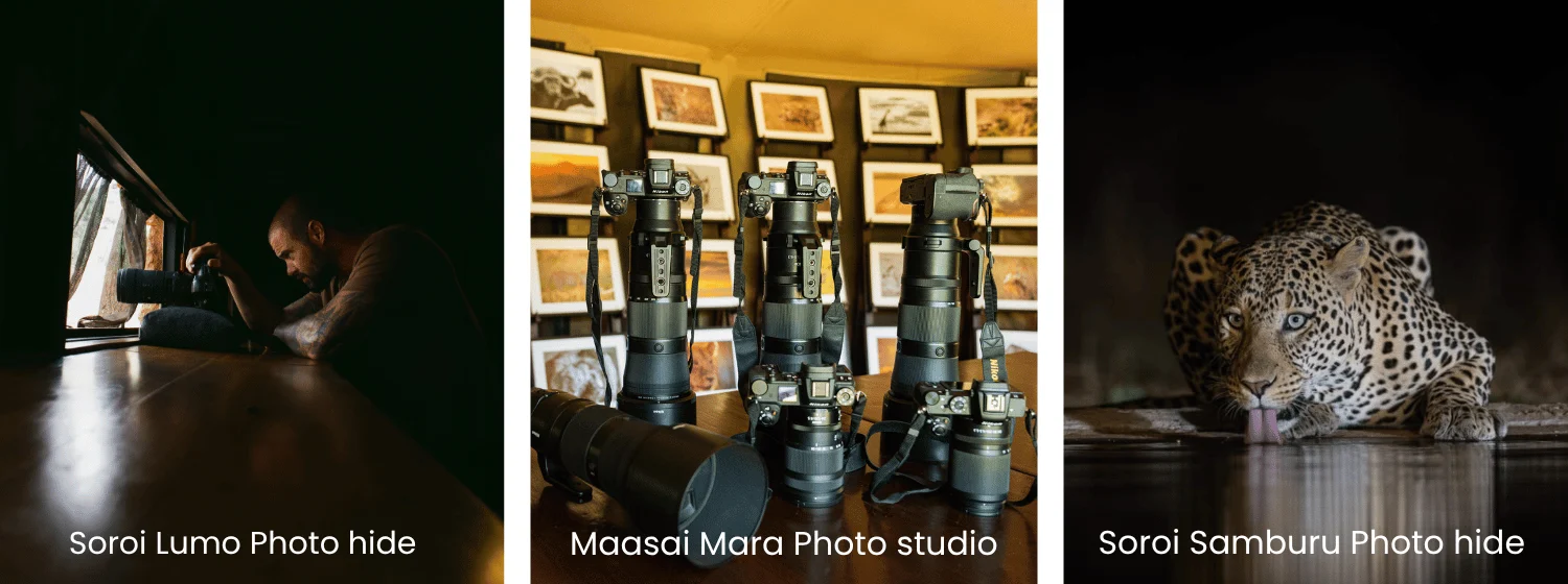 Triptych of photo hides: left, photographer at a window; center, several cameras on a table; right, leopard cub peeking from a dark den. - Soroi Collection